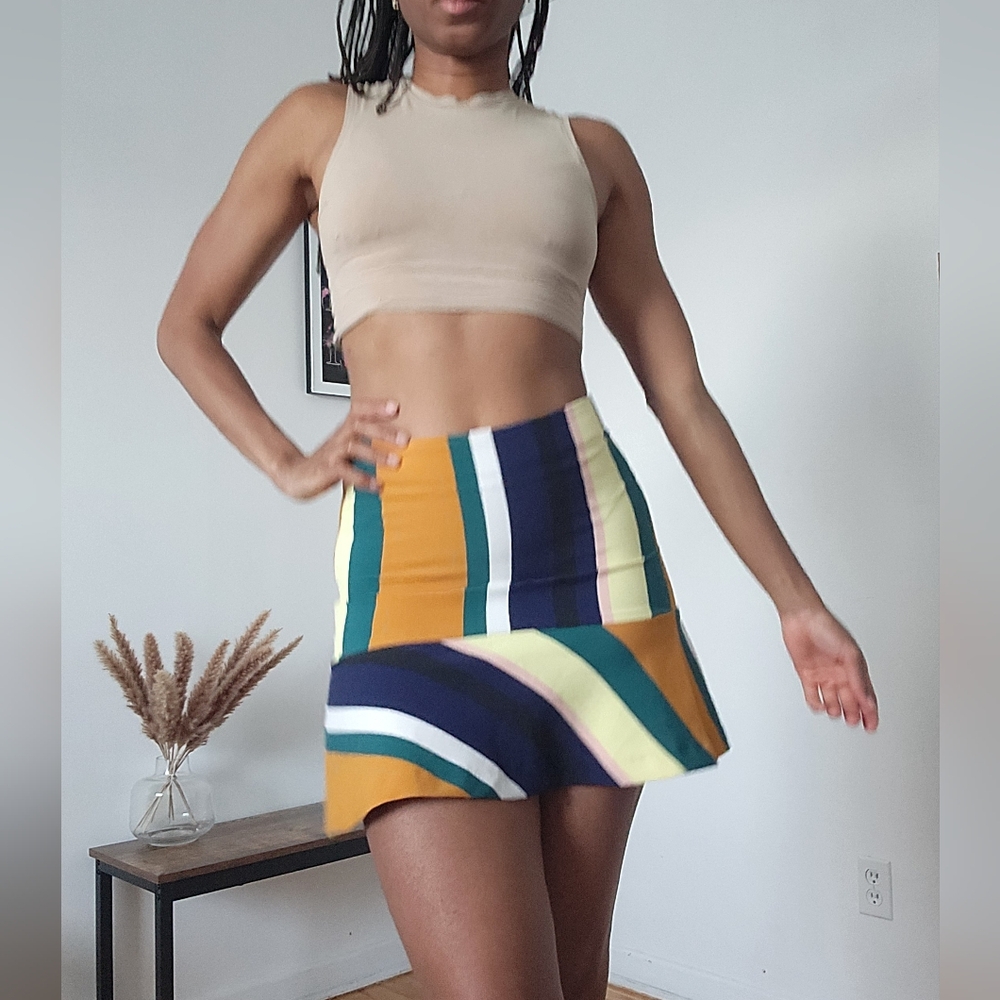 ZARA Colorblock Skirt